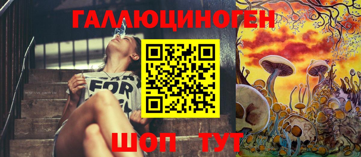 Галлюциногенные грибы Psilocybine cubensis  Вход с VPN  Канаш 