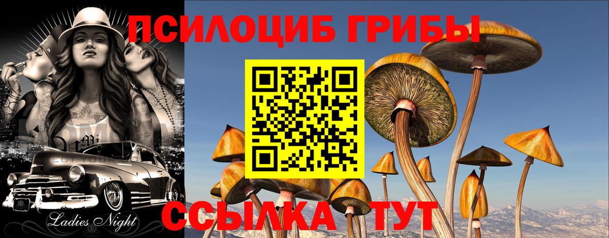 Галлюциногенные грибы MAGIC MUSHROOMS Канаш